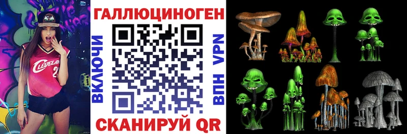закладка  Красноуральск  Псилоцибиновые грибы GOLDEN TEACHER 